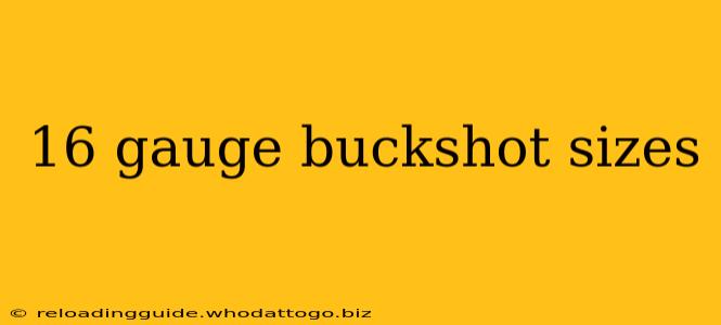 16 gauge buckshot sizes