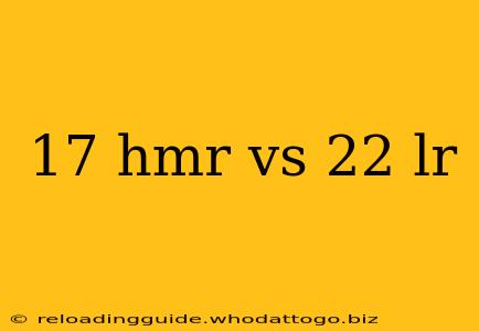 17 hmr vs 22 lr