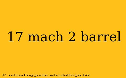 17 mach 2 barrel