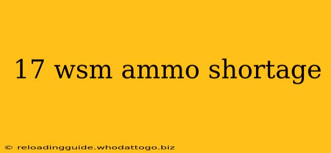 17 wsm ammo shortage