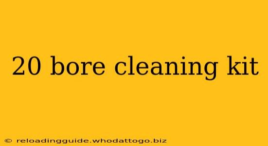 20 bore cleaning kit