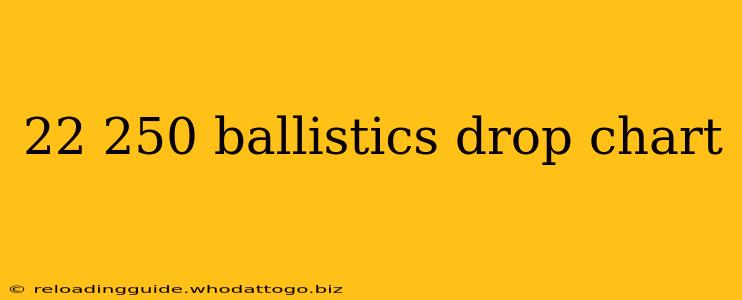 22 250 ballistics drop chart