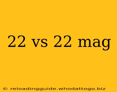 22 vs 22 mag