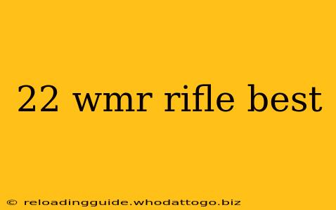 22 wmr rifle best