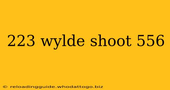 223 wylde shoot 556