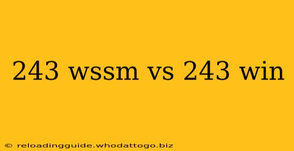 243 wssm vs 243 win