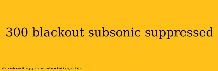 300 blackout subsonic suppressed