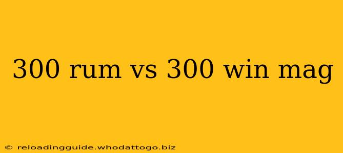 300 rum vs 300 win mag