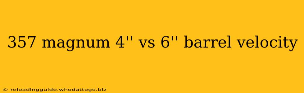 357 magnum 4'' vs 6'' barrel velocity