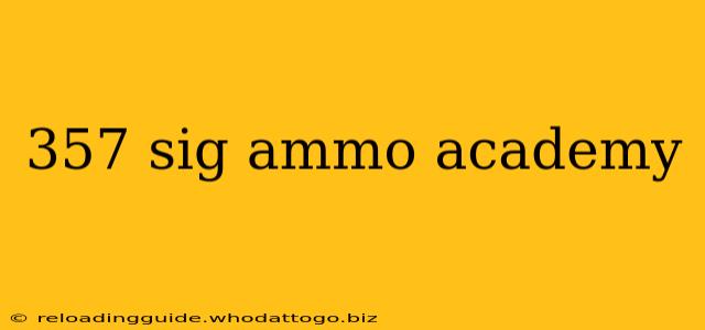 357 sig ammo academy