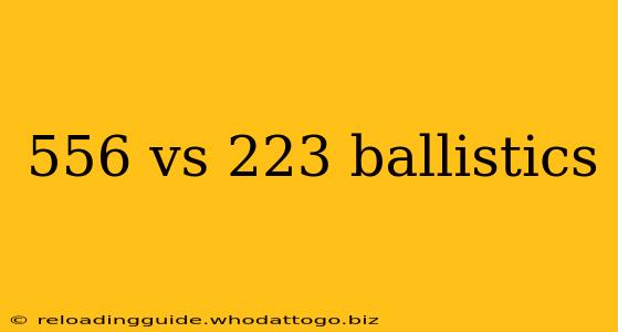 556 vs 223 ballistics