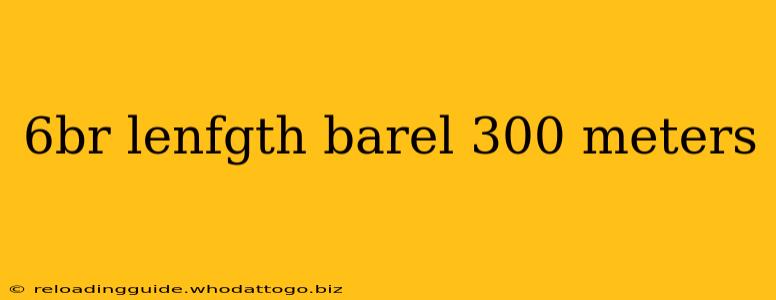 6br lenfgth barel 300 meters