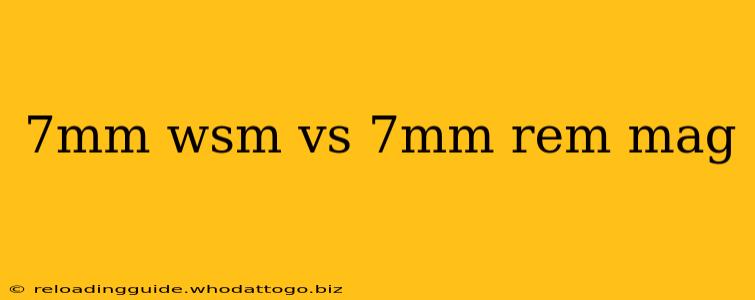 7mm wsm vs 7mm rem mag