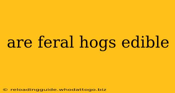 are feral hogs edible