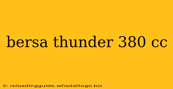 bersa thunder 380 cc