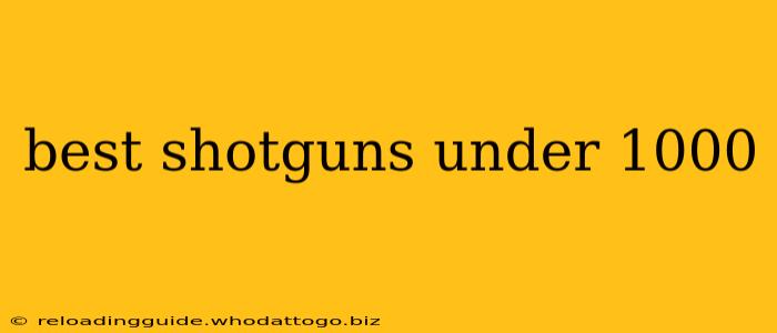 best shotguns under 1000