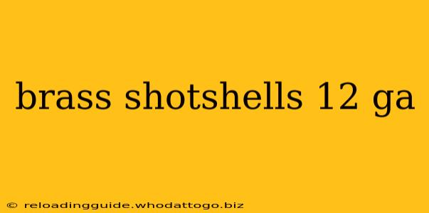 brass shotshells 12 ga