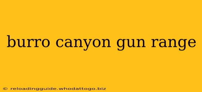 burro canyon gun range