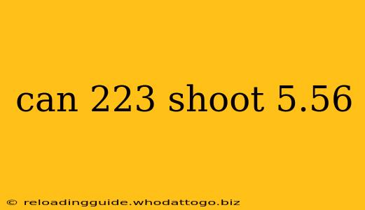 can 223 shoot 5.56