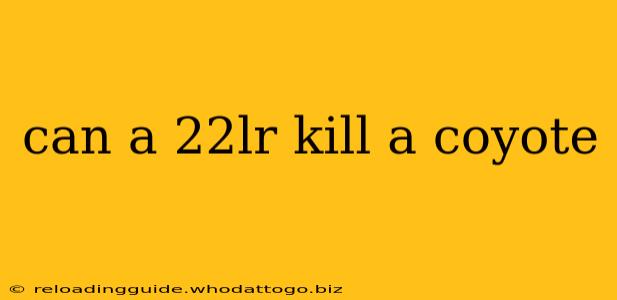 can a 22lr kill a coyote