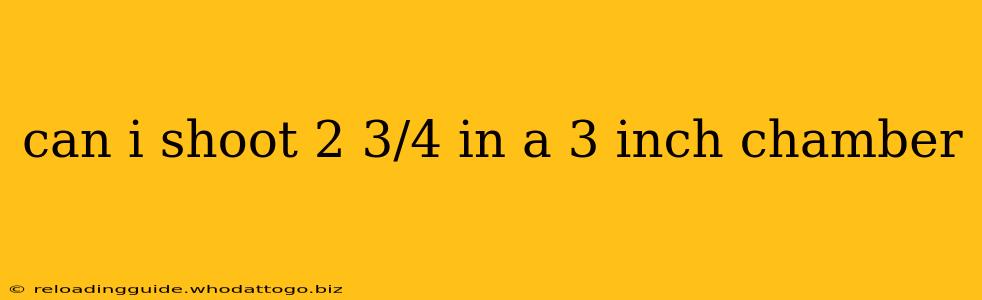 can i shoot 2 3/4 in a 3 inch chamber