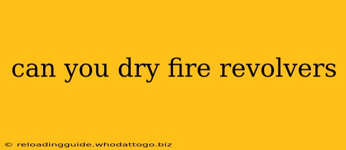 can you dry fire revolvers