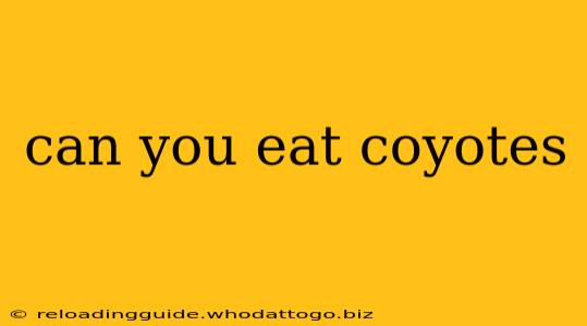 can you eat coyotes