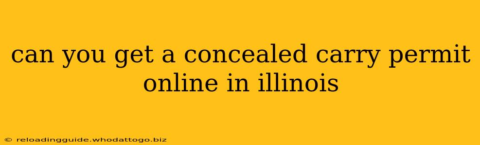 can you get a concealed carry permit online in illinois