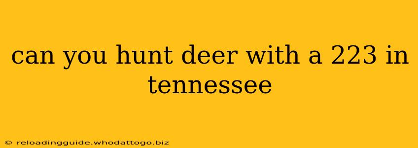 can you hunt deer with a 223 in tennessee