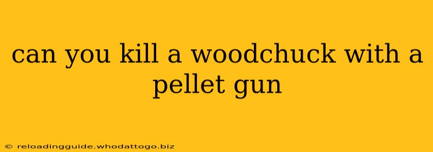 can you kill a woodchuck with a pellet gun