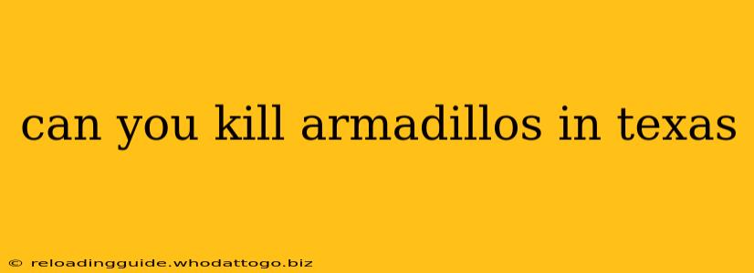 can you kill armadillos in texas