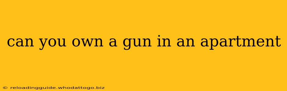 can you own a gun in an apartment