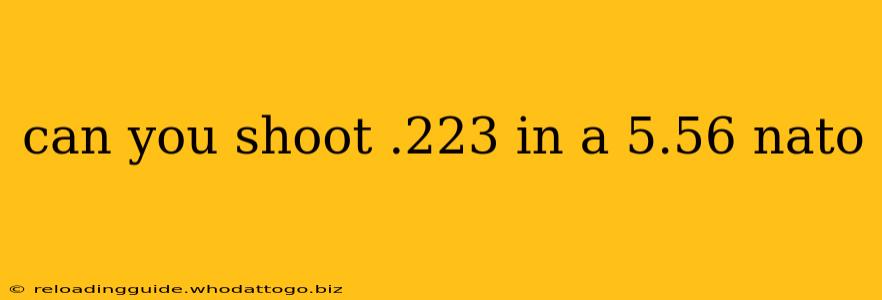 can you shoot .223 in a 5.56 nato