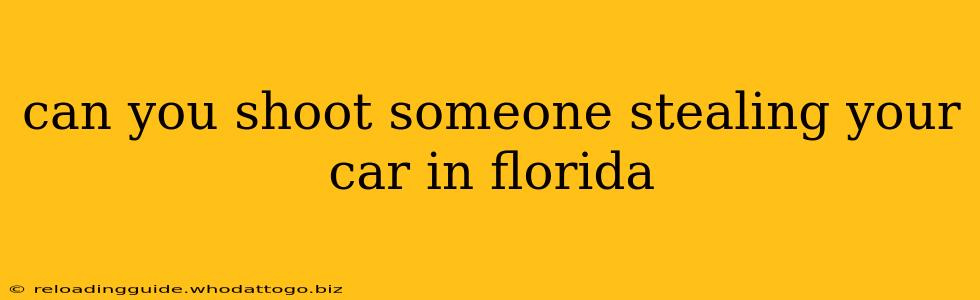 can you shoot someone stealing your car in florida