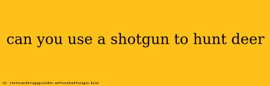 can you use a shotgun to hunt deer