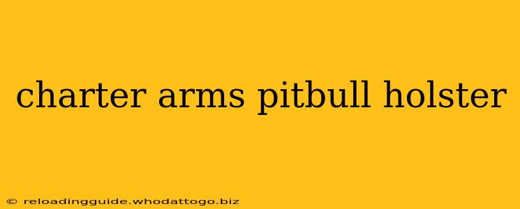 charter arms pitbull holster