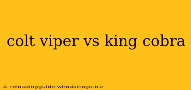 colt viper vs king cobra