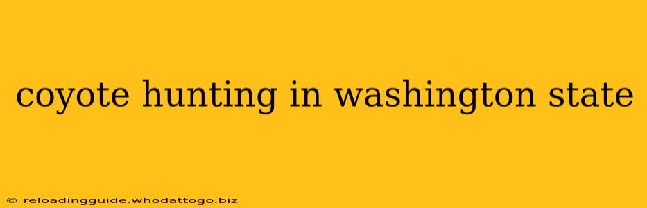 coyote hunting in washington state