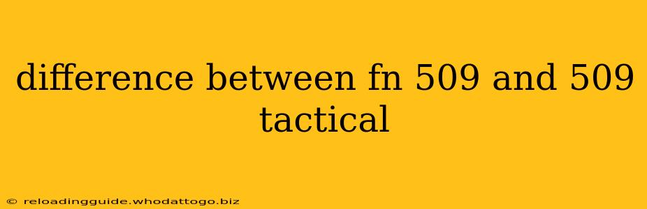 difference between fn 509 and 509 tactical