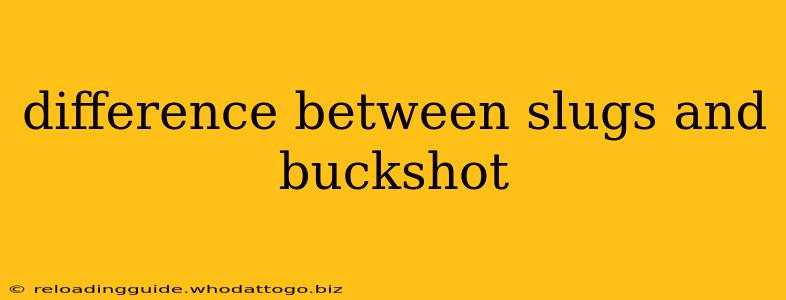 difference between slugs and buckshot