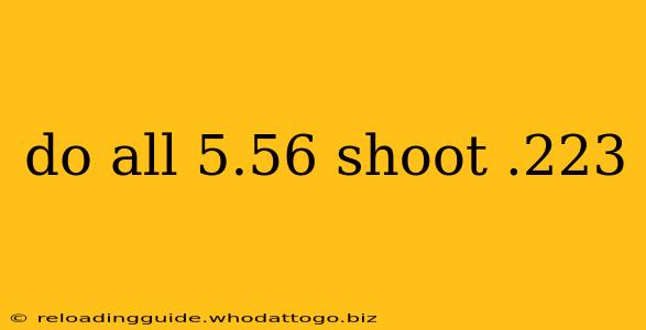 do all 5.56 shoot .223