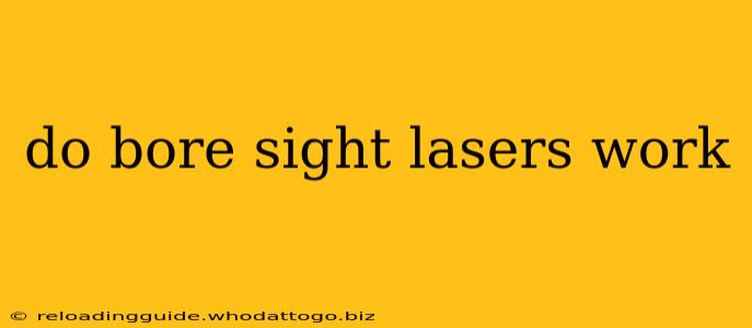 do bore sight lasers work