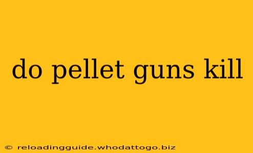 do pellet guns kill