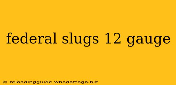 federal slugs 12 gauge