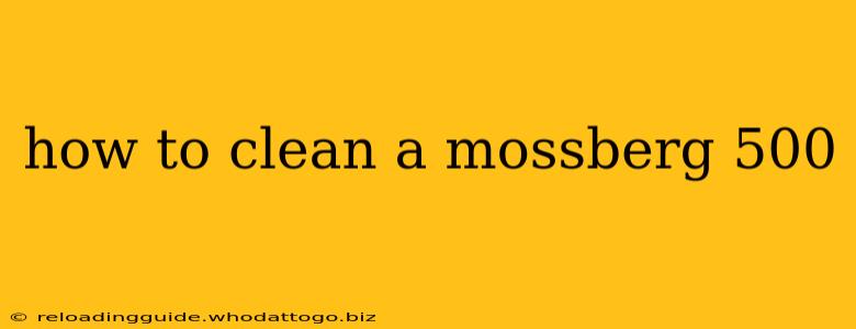 how to clean a mossberg 500