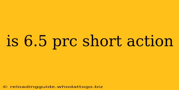 is 6.5 prc short action