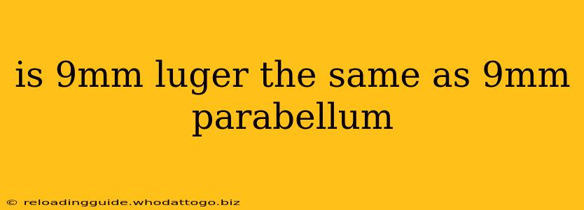 is 9mm luger the same as 9mm parabellum