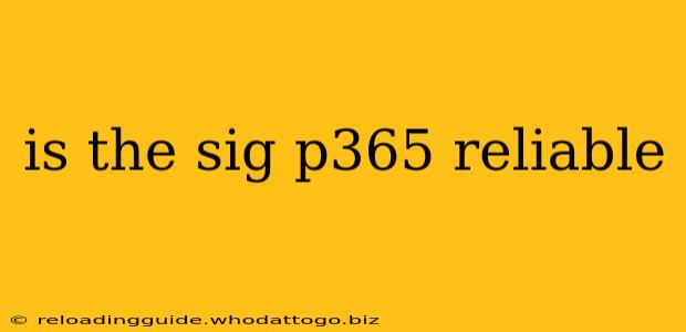 is the sig p365 reliable