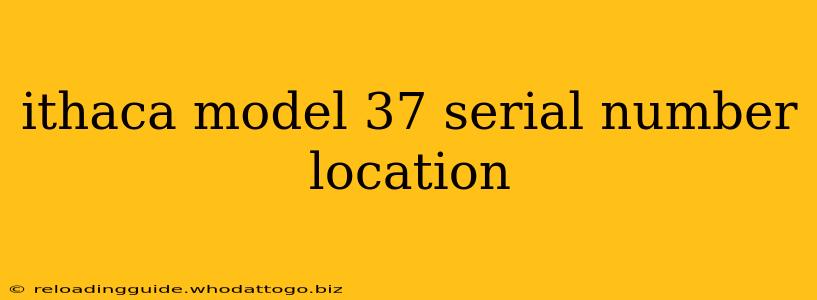 ithaca model 37 serial number location