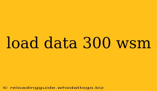 load data 300 wsm